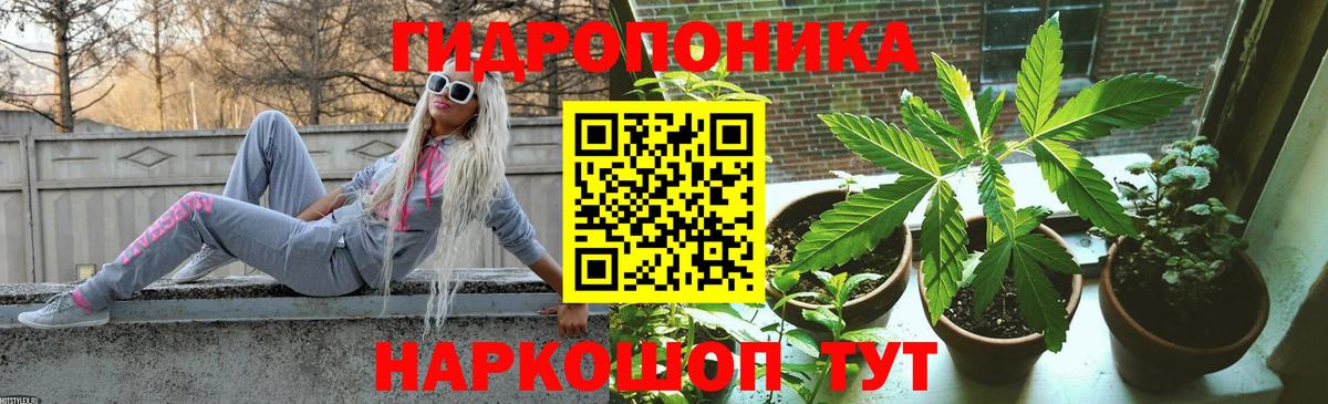 Лесной  МАРИХУАНА Ganja  Каннабис LSD WEED  Вход с VPN  Канабис план 